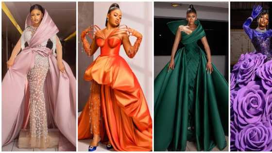 Newbies on the red carpet: How 17 Big Brother stars made their first major fashion debut