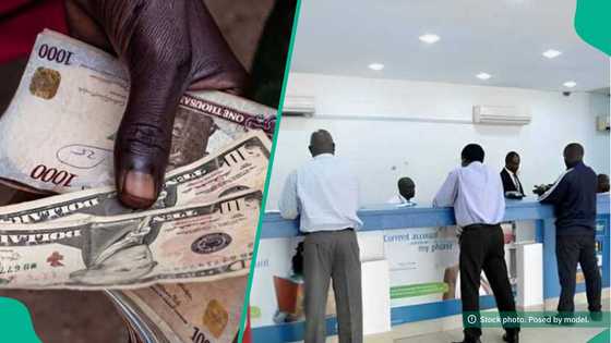 Access, other banks announce new exchange rates for dollar, euro, pound, 8 other currencies