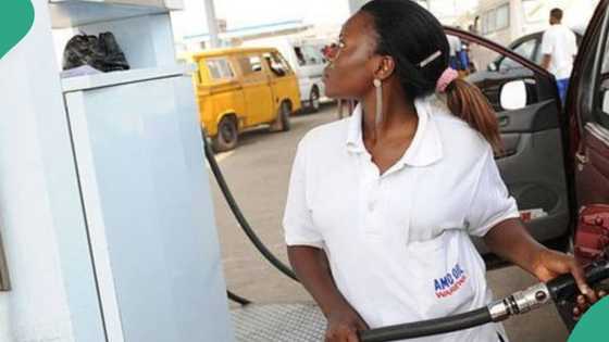 Marketers speak on petrol price crash in 2024 as Port Harcourt Refinery, others commence operations