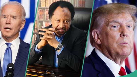 Donald Trump vs Joe Biden: Shehu Sani speaks on US presidential election, “He will eventually quit”
