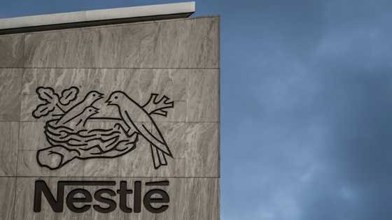 Nestle share slump adds pressure on new boss
