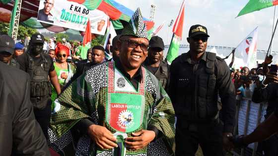 2023 election: Peter Obi declared winner of presidential polls in APC-controlled northern state