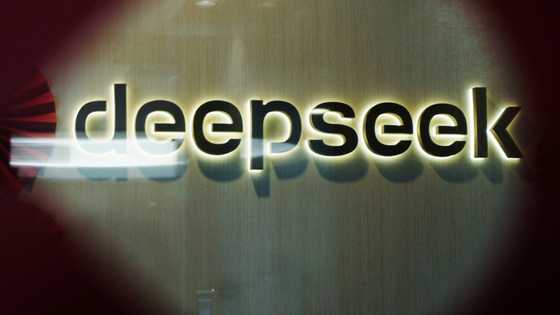 S. Korea says DeepSeek removed from local app stores pending privacy review
