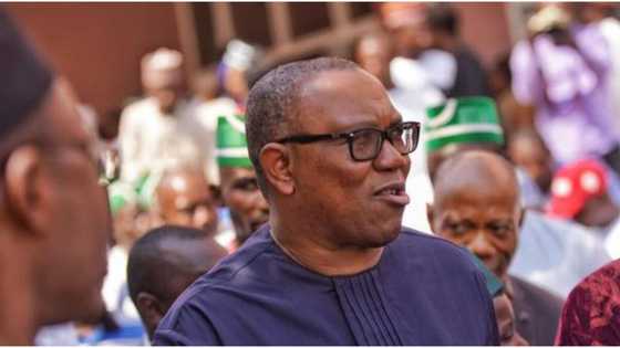 What I’ll do after winning 2023 presidential election, Peter Obi drops strong, powerful details