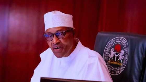 Buhari approves new appointments, names Madu MD of Federal Mortgage Bank