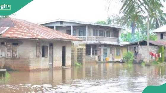 Oyan dam: Fresh flooding fears spark anxiety in Ogun communities