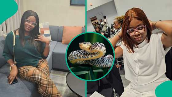 Lady who got bitten by a snake reveals how herbalist treated her, medical expert reacts