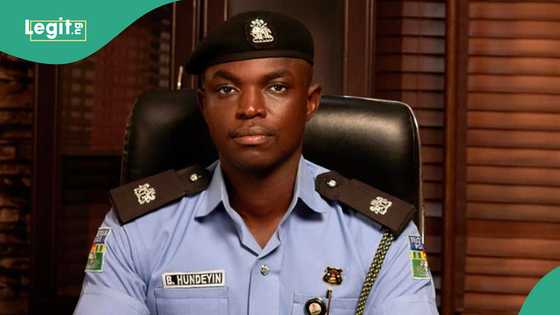 Police react as dogs maul security guard to death in Lagos