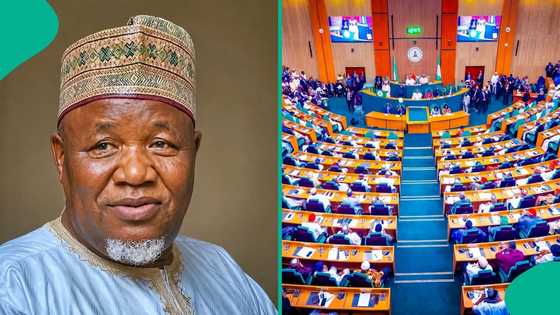 Bandits kill top top ex-Nigerian lawmaker as details emerge