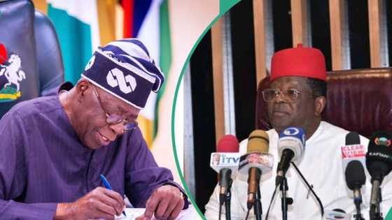 "Babu ruwan Tinubu" Minista ya fallasa ainihin waɗanda suka jefa ƴan Najeriya a wahala da yunwa
