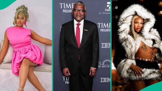 "Dangote ought to pay $10M in compensation": Tacha speaks on Phyna's sister's unfortunate accident