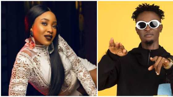 Erica tells her fans to avoid being toxic as she addresses fight with Laycon, relationship with Kiddwaya