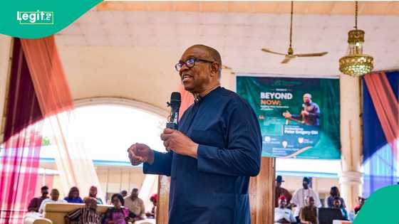 Kai mutane Hajji, taimakon almajirai da ayyukan Peter Obi a Arewa