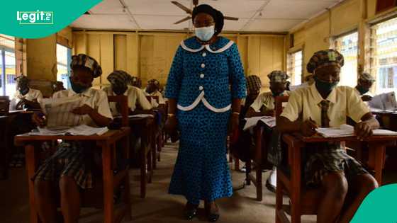 Is Lagos state govt currently recruiting teachers? TESCOM reacts