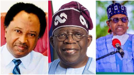 Food Security: How Tinubu’s state of emergency declaration exposed Buhari's deception, Shehu Sani reveals