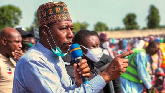2023: Kungiyoyin al'umma 150 sun tara miliyoyi zasu siya wa gwamna Zulum Fom ɗin takara na APC