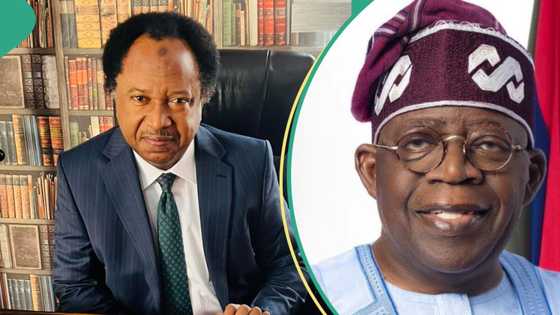 "Laifinku ne": Shehu Sani ya fadi dalilin ƙaƙaba harajin 0.5% da CBN ya yi