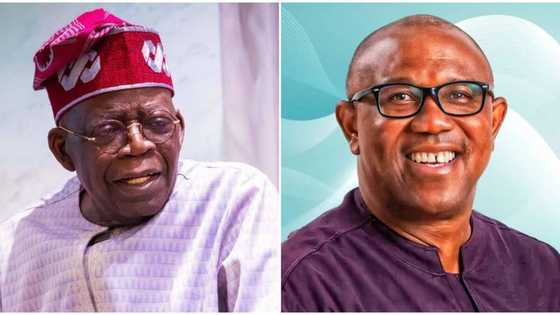 President Tinubu’s camp speaks on Labour Party, Peter Obi repeating 2023 performance in 2027
