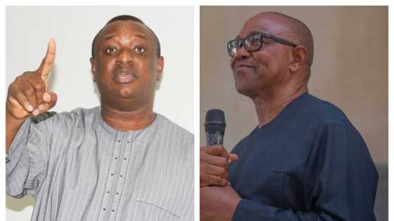 Why did Keyamo petition DSS to arrest Obi, Datti? Details emerge