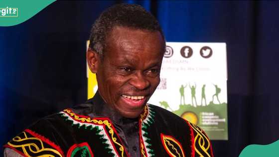Nigeria should scrap visa requirements for Africans, Prof Lumumba urges FG