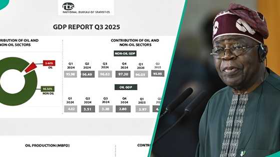 Top 10 performing sectors behind Nigeria’s economic growth