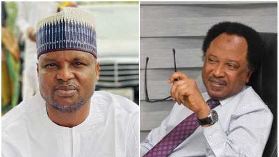 Ka ci ka yi hani'an: Shehu Sani ya shawarci Abba Kyari kan yadda ake zaman gidan kaso