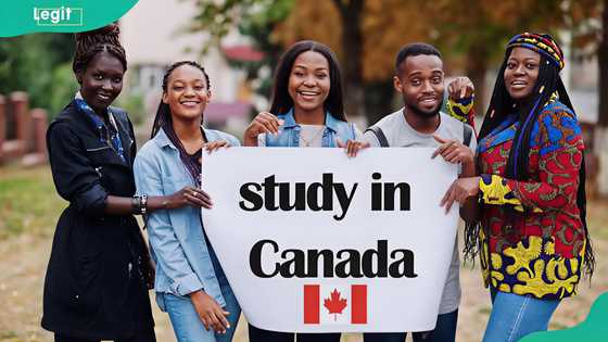 10 best Canadian scholarships for Nigerian students in 2026