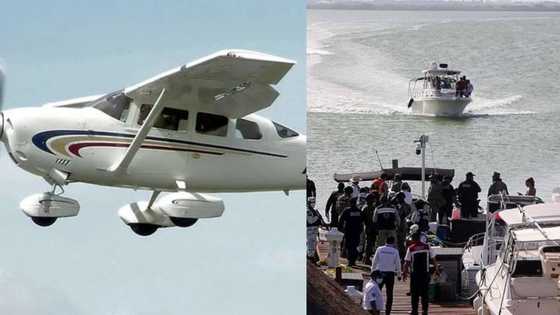 Sad moment as 2 people lose their lives after plane crashes during gender reveal stunt