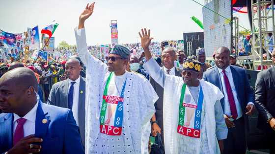 Journalist reveals names of alleged anti-Tinubu elements in Aso Villa