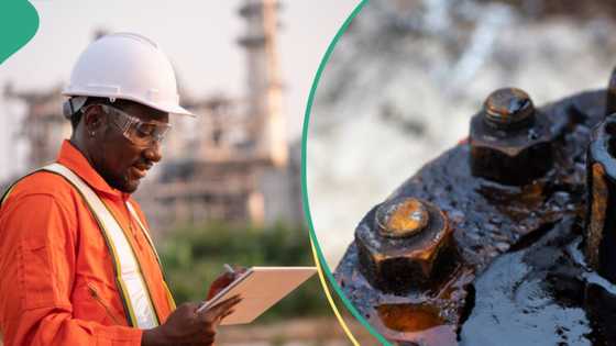 Another country set to join Nigeria, others to produce oil after new discovery