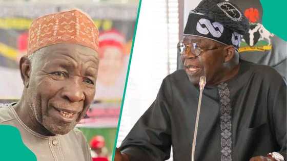 'Cigaban mai haka rijiya,' Buba Galadima ya ce babu abin a yaba a shekaru 2 na Tinubu