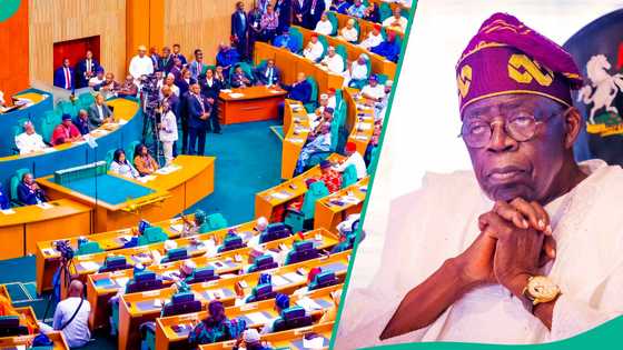 Nnamdi Kanu: 'Yan majalisa 44 sun tura wasika ga Tinubu kan sakin shugaban IPOB