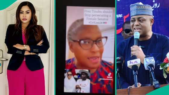 "Such a demented fool": Femi Fani-Kayode, wife brutally insult Kemi Olunloyo over false allegations