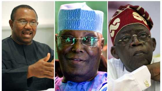 Productive economy, GDP growth, other economic plans of Obi, Tinubu, Atiku
