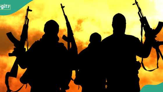 Gunmen shoot Catholic priest, kidnap two others in Benue