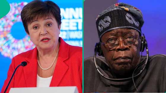 FG successfully repays debt as IMF removes Nigeria from updated debtors' list