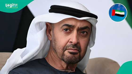 UAE announces 15 items foreigners can bring into the country without paying customs duties