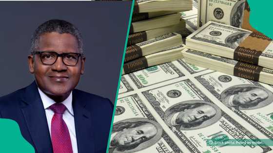 CBN shares plan for 2025, lists forex, remittance, others