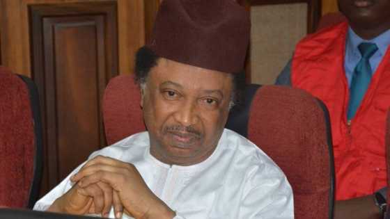 Shehu Sani did not ask me for bribe, EFCC witness tells Federal High Court