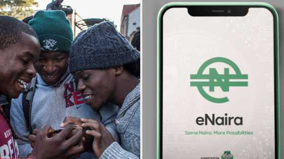 Security, integrity, deposit IMF lists concerns on eNaira offers technical support to Central Bank of Nigeria