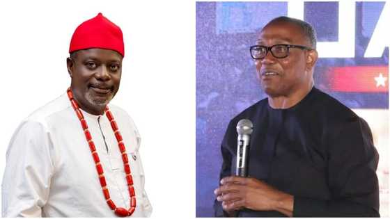 Labour Party senatorial candidate dumped Peter Obi, defected to PDP? Truth emerges