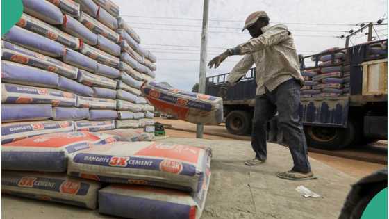 No More N14,000? New cement prices emerge as FCCPC probes dealers and manufacturers