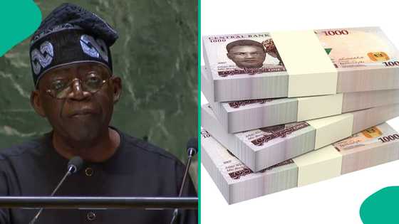Civil servants to receive 5-month arrears as FG confirms when it will clear minimum wage backlog