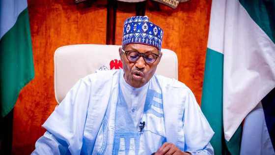 Federal government has no more job vacancies -
Buhari to Nigerian youths
