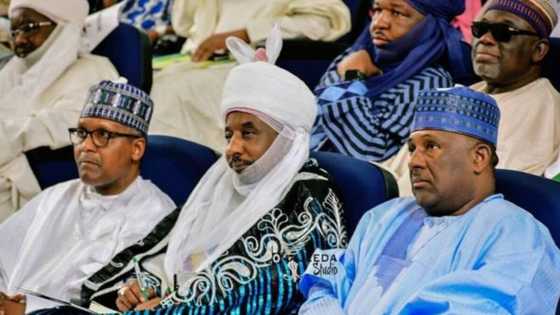 Hanyoyin da Dangote ya bi ya hana Ganduje tsige Sarkin Kano