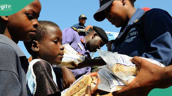 FAO says over 26 million Nigerians may face food crisis in 2024