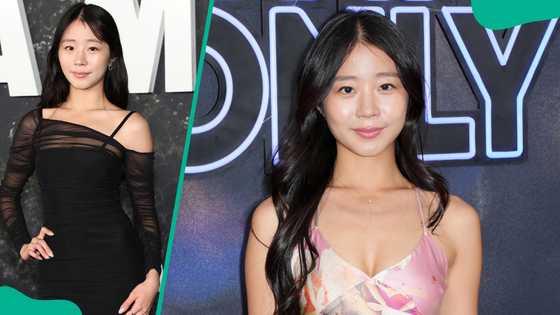 Evelyn Ha’s biography: What is known about the social media star