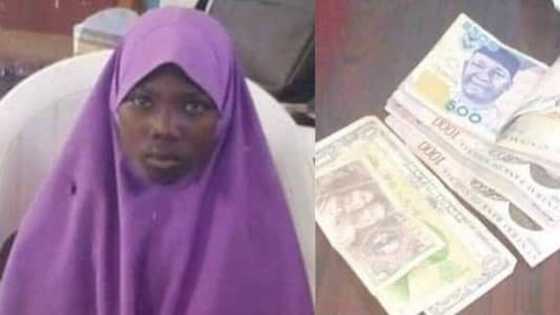 Yarinyar kirki: Mai tallan 'Pure Water' ta tsinci kudade, ta kai cigiya gidan radiyo