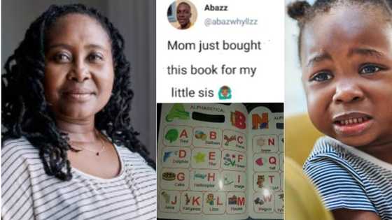 "O for bird": Man shares funny screenshot of alphabet book his mum purchased for little sister