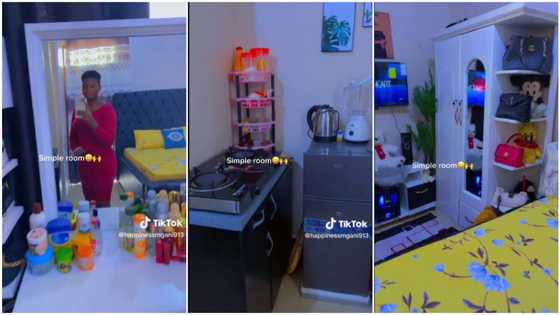 Beautiful lady redesigns her 1 room, turns it into a "palace" with new fridge, TV, cooker, fine cabinets